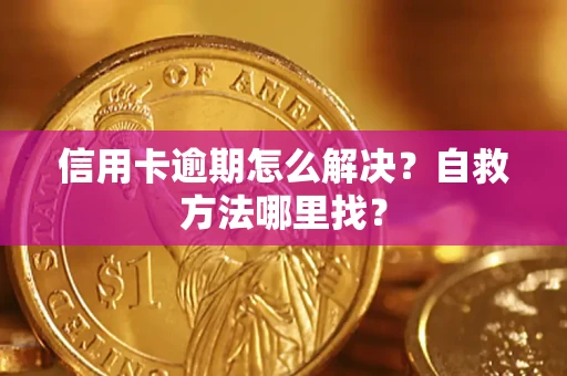 济南信用卡逾期怎么解决？自救方法哪里找？